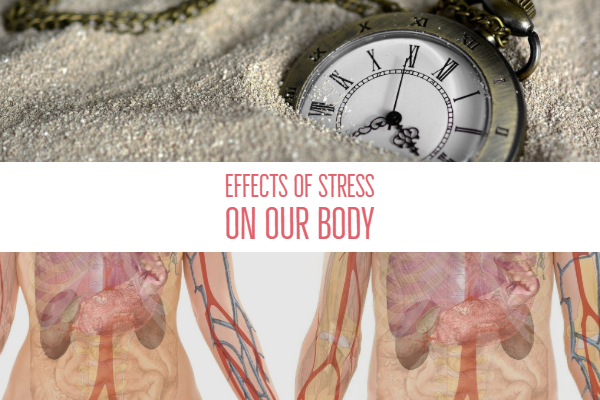 Effects of Stress on our body (1) Everyone has stress. It is part of life. You can feel effects of stress in our body when you have too much to do or when you haven’t slept well. Your body reacts and adjusts to stress when the environment changes. This related changes bring physical, mental, and emotional reactions.