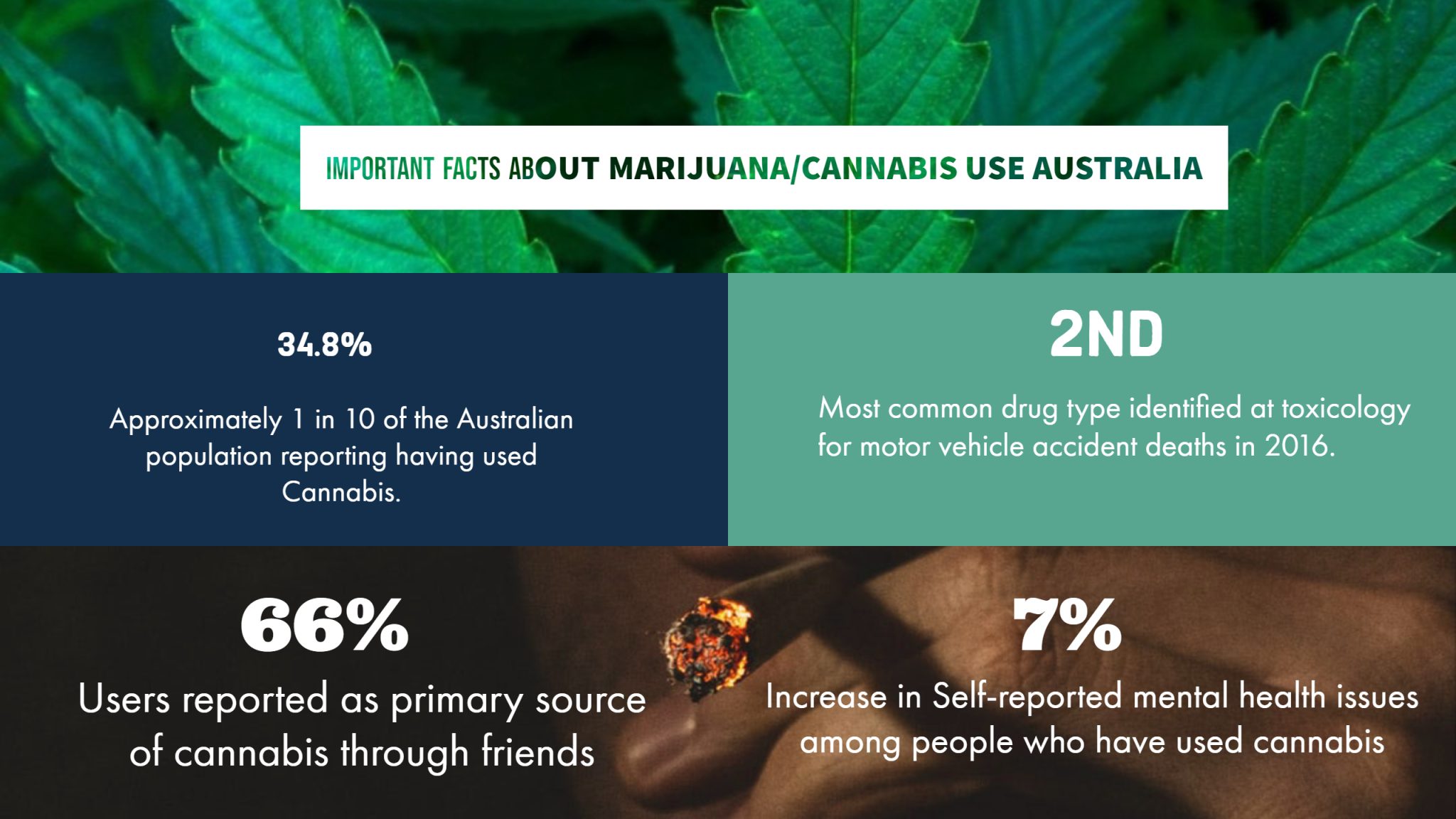 Facts About Marijuana in Australia Types, Effects, and MHFA